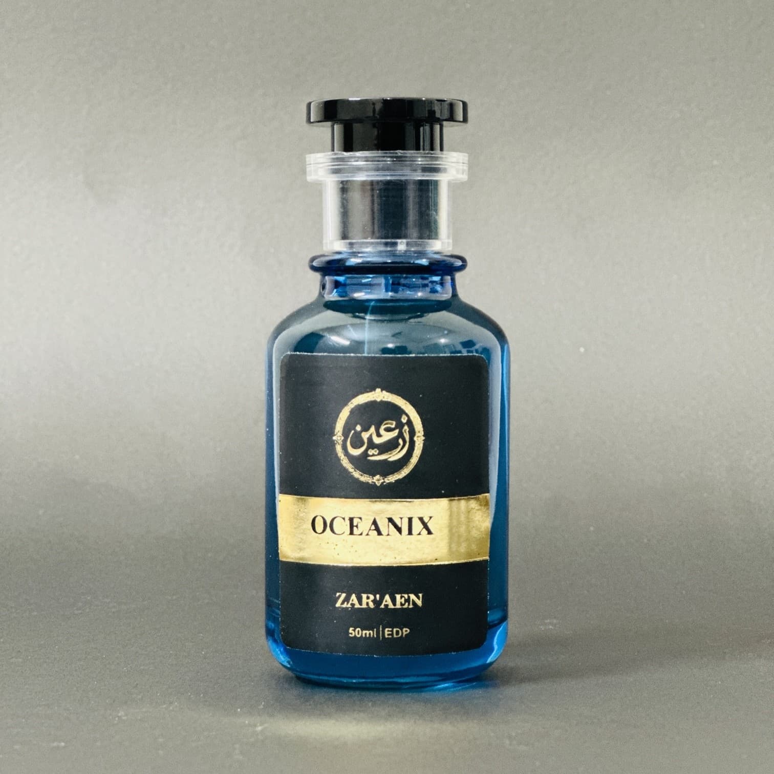Oceanix